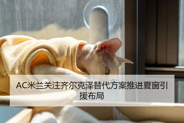 AC米兰关注齐尔克泽替代方案推进夏窗引援布局