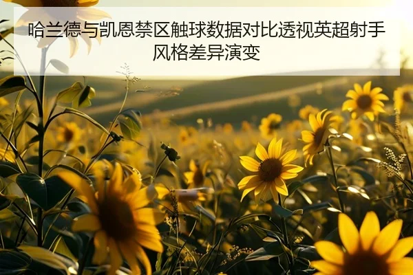 哈兰德与凯恩禁区触球数据对比透视英超射手风格差异演变